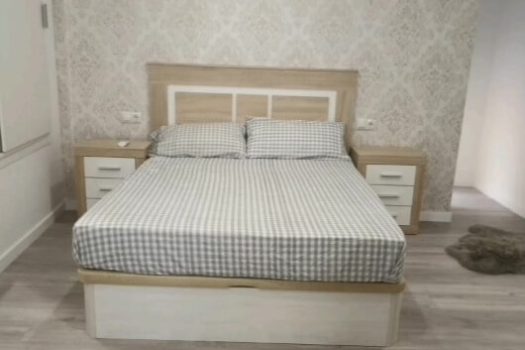 Spacious apartment in the heart of Alicante