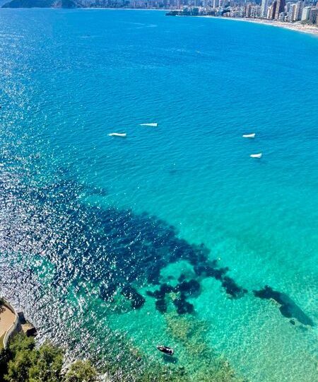 First line beach apartment to rent Benidorm