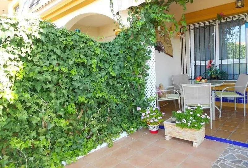 Rent house in Spain